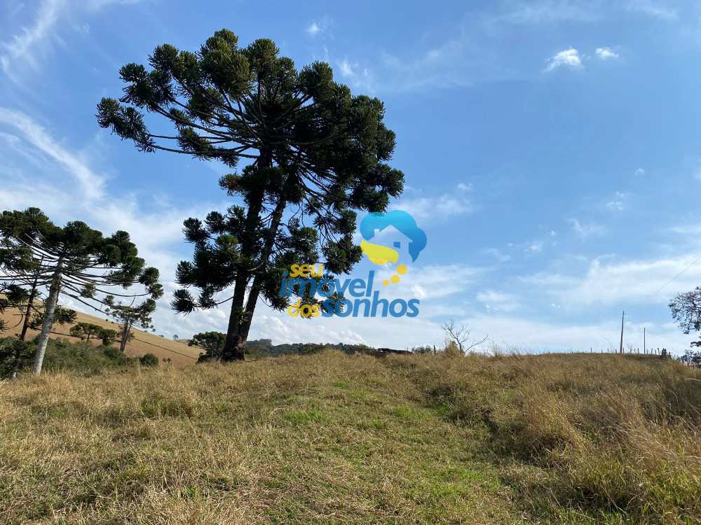 Terreno Rural em Bueno Brandão, no bairro Centro