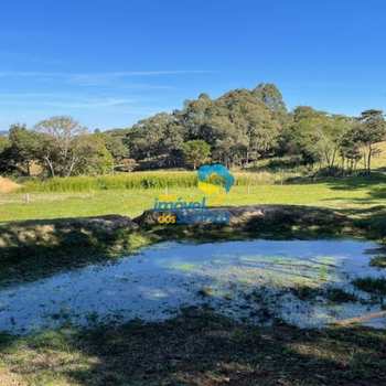 Terreno Rural em Bueno Brandão, bairro Centro