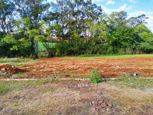 Terreno, código 83 em Três de Maio, bairro Bairro Medianeira