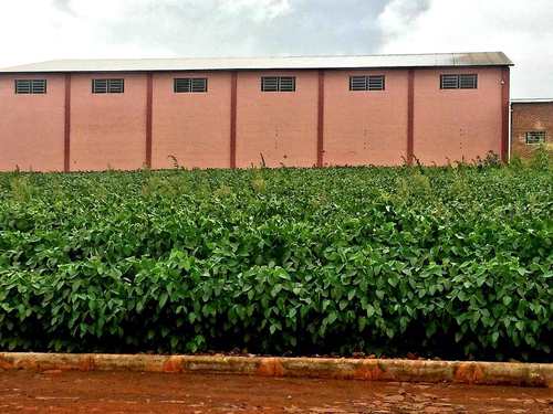 Terreno, código 132 em Três de Maio, bairro Bairro Planalto