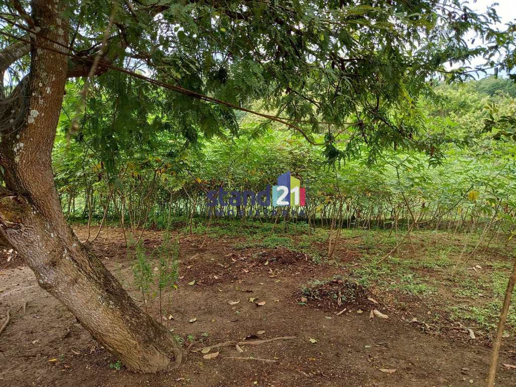 Chácara em Ilhéus, no bairro Br 415