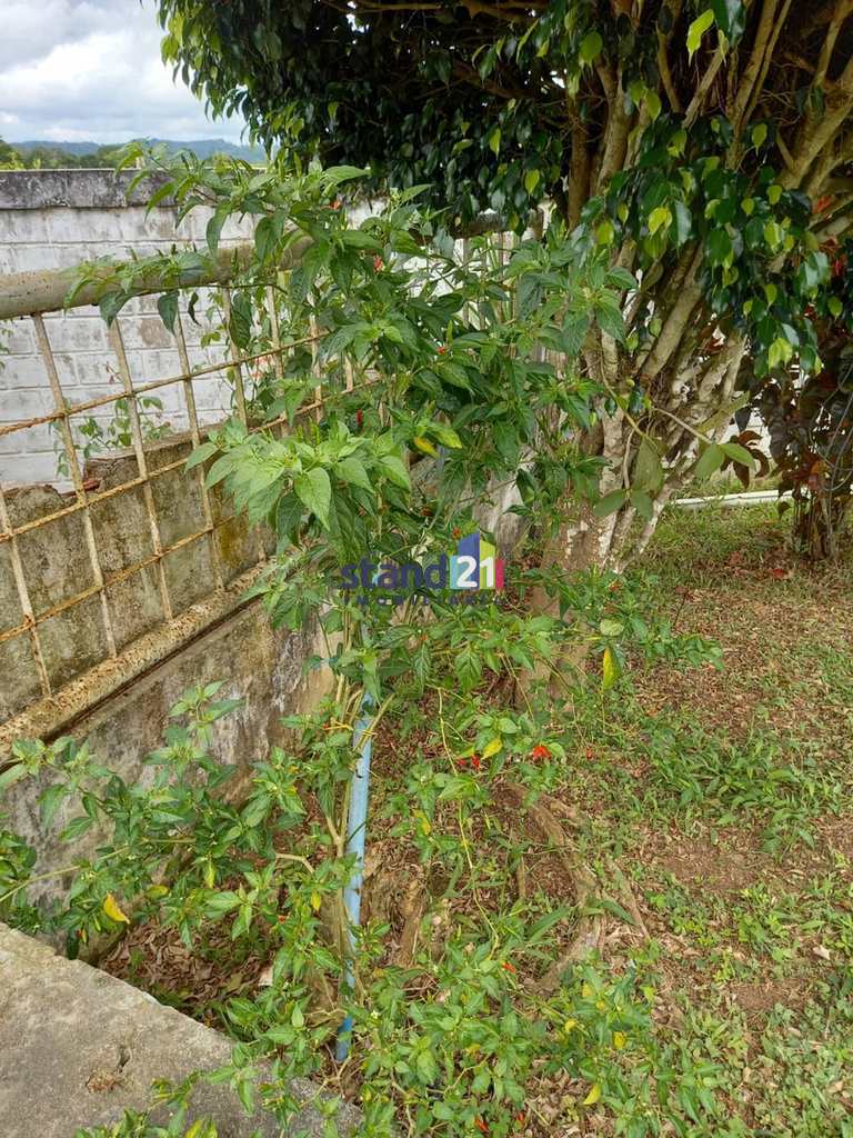 Chácara em Ilhéus, no bairro Br 415