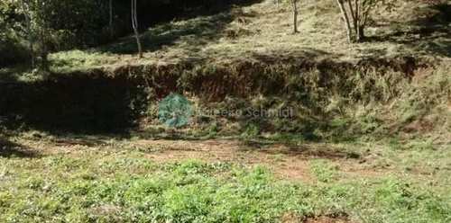 Terreno, código 261 em Santo Antônio do Pinhal, bairro Centro