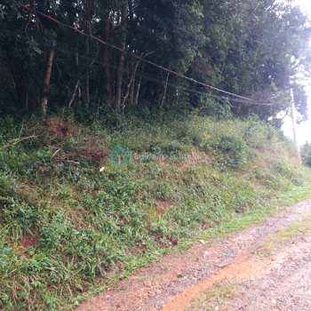 Terreno em Santo Antônio do Pinhal, bairro Aproximadamente 8 M do Centro