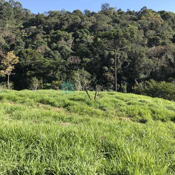 Terreno de Condomínio em Santo Antônio do Pinhal, bairro Condomínio Parque da Mantiqueira
