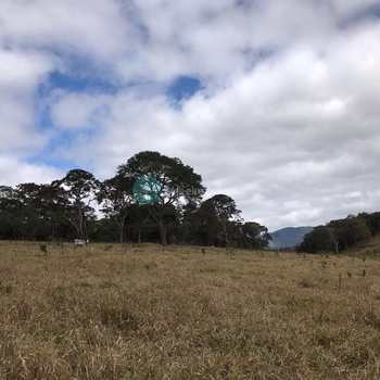 Sítio em Santo Antônio do Pinhal, bairro Aprox 7 Km do Centro