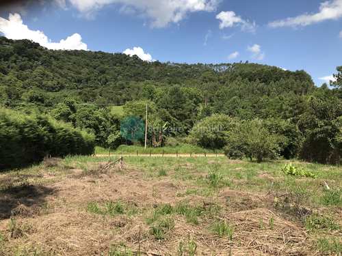 Terreno, código 441 em Santo Antônio do Pinhal, bairro Proximo Ao Centro