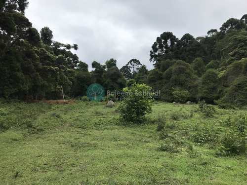 Terreno, código 450 em Santo Antônio do Pinhal, bairro Proximo Ao Centro