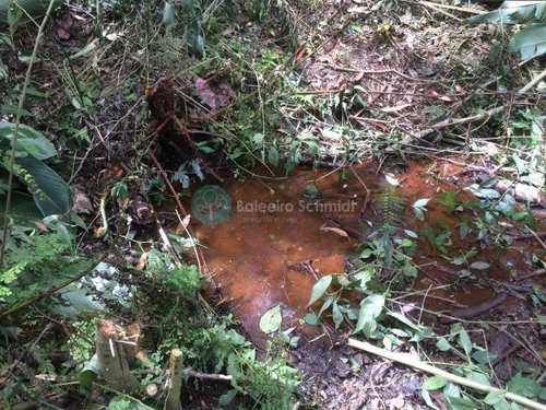 Sítio, código 468 em Santo Antônio do Pinhal, bairro Aprox 7 Km do Centro