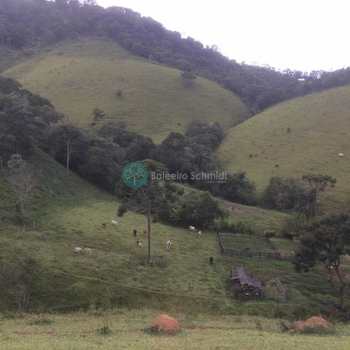 Sítio em Santo Antônio do Pinhal, bairro Aprox 8 Km do Centro