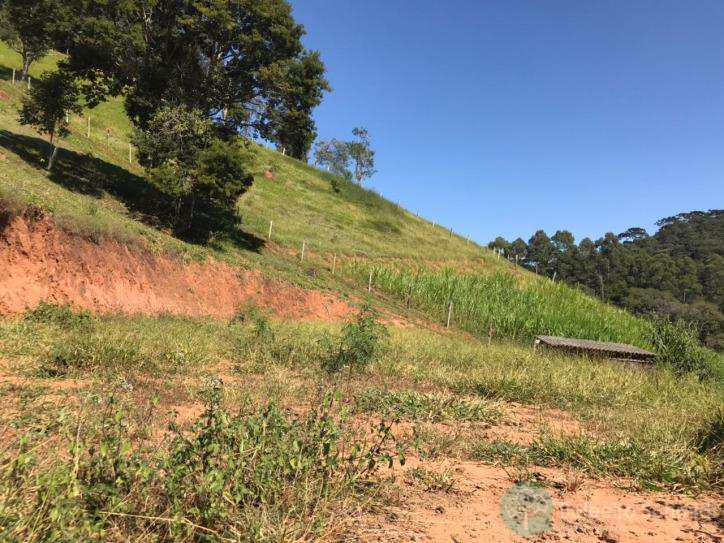 Terreno em Santo Antônio do Pinhal, no bairro Aprox 3 Km do Centro