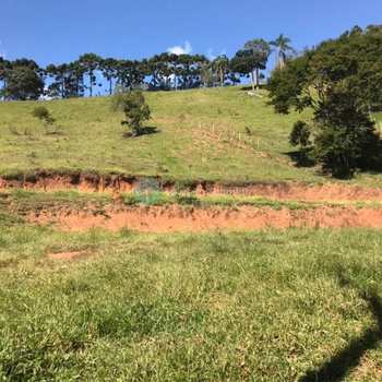 Terreno em Santo Antônio do Pinhal, bairro Aprox 3 Km do Centro