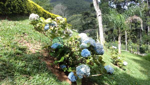 Casa de Condomínio em Santo Antônio do Pinhal, no bairro Condominio Portal da Mantiqueira