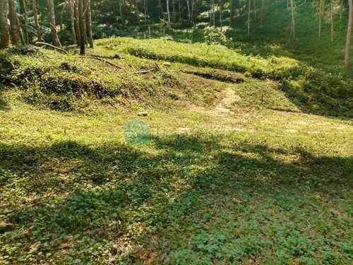 Sítio, código 729 em Santo Antônio do Pinhal, bairro Proximo Centro