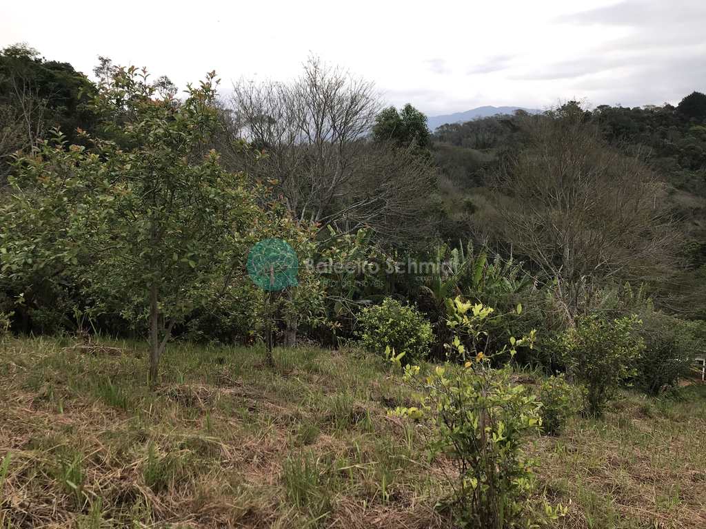 Casa em Santo Antônio do Pinhal, no bairro Pinhalzinho