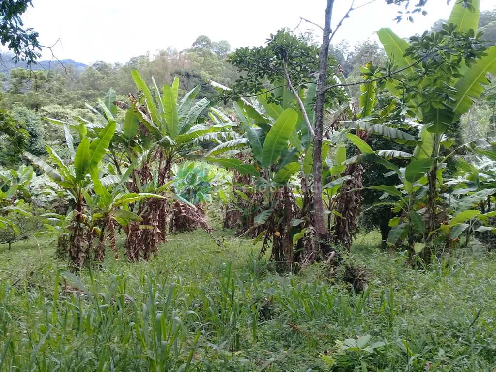 Sítio em Santo Antônio do Pinhal, no bairro Zona Rural
