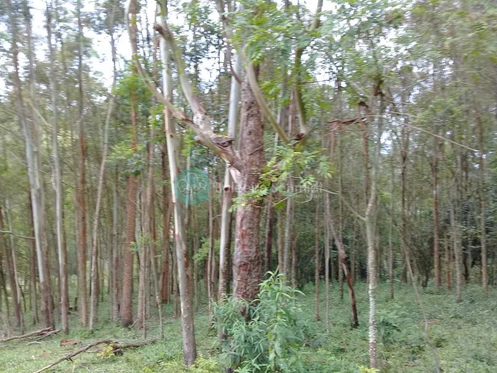 Sítio em Santo Antônio do Pinhal, no bairro Zona Rural