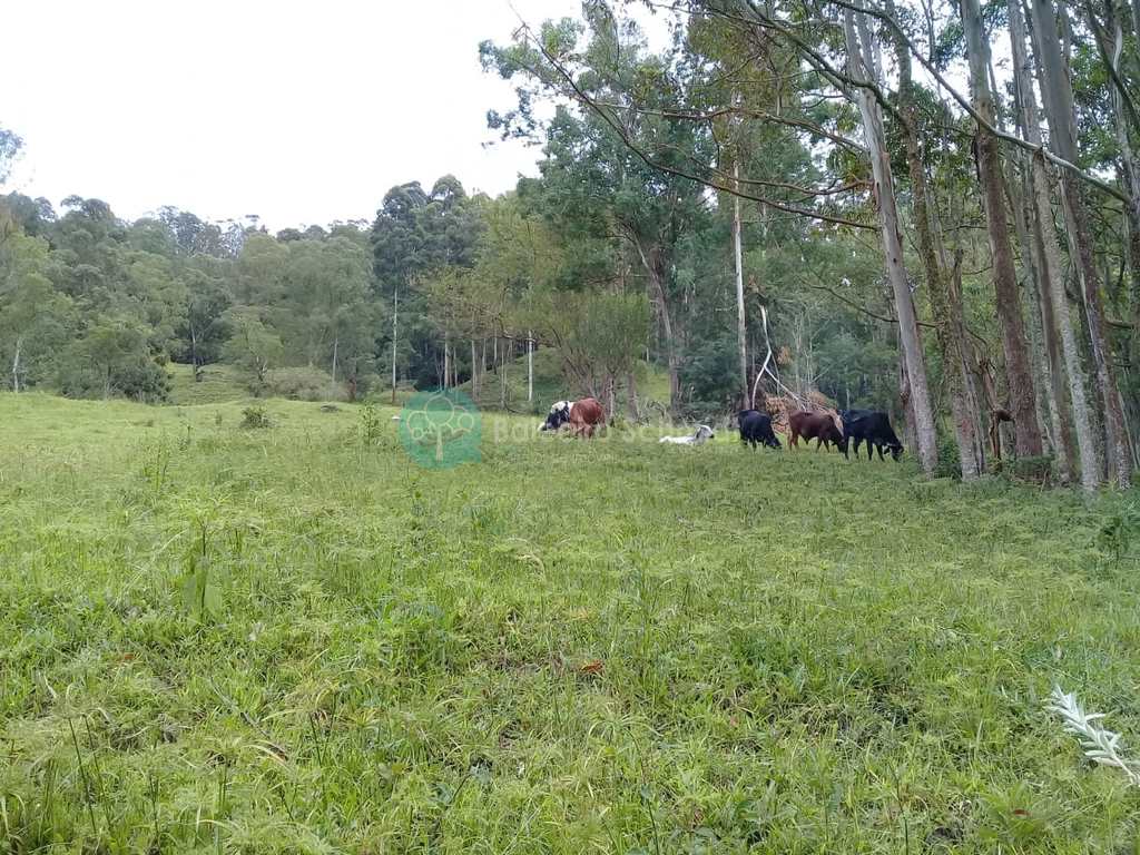 Sítio em Santo Antônio do Pinhal, no bairro Zona Rural