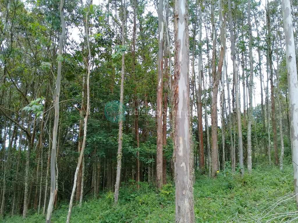 Sítio em Santo Antônio do Pinhal, no bairro Zona Rural