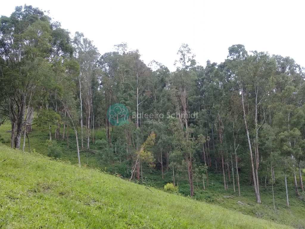 Sítio em Santo Antônio do Pinhal, no bairro Zona Rural