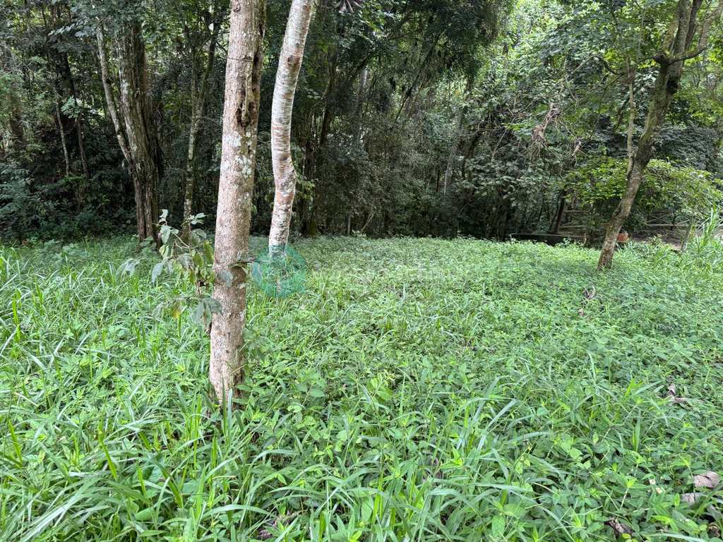 Terreno de Condomínio em Santo Antônio do Pinhal, no bairro Condomínio Parque da Mantiqueira