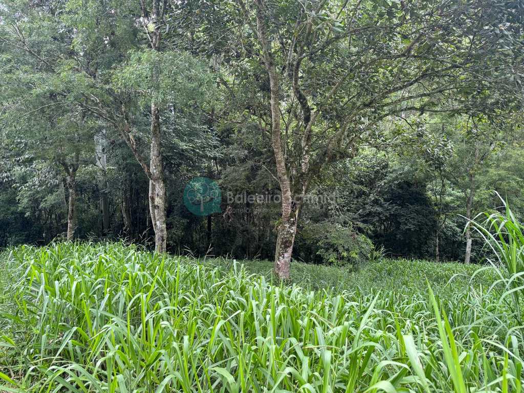 Terreno de Condomínio em Santo Antônio do Pinhal, no bairro Condomínio Parque da Mantiqueira