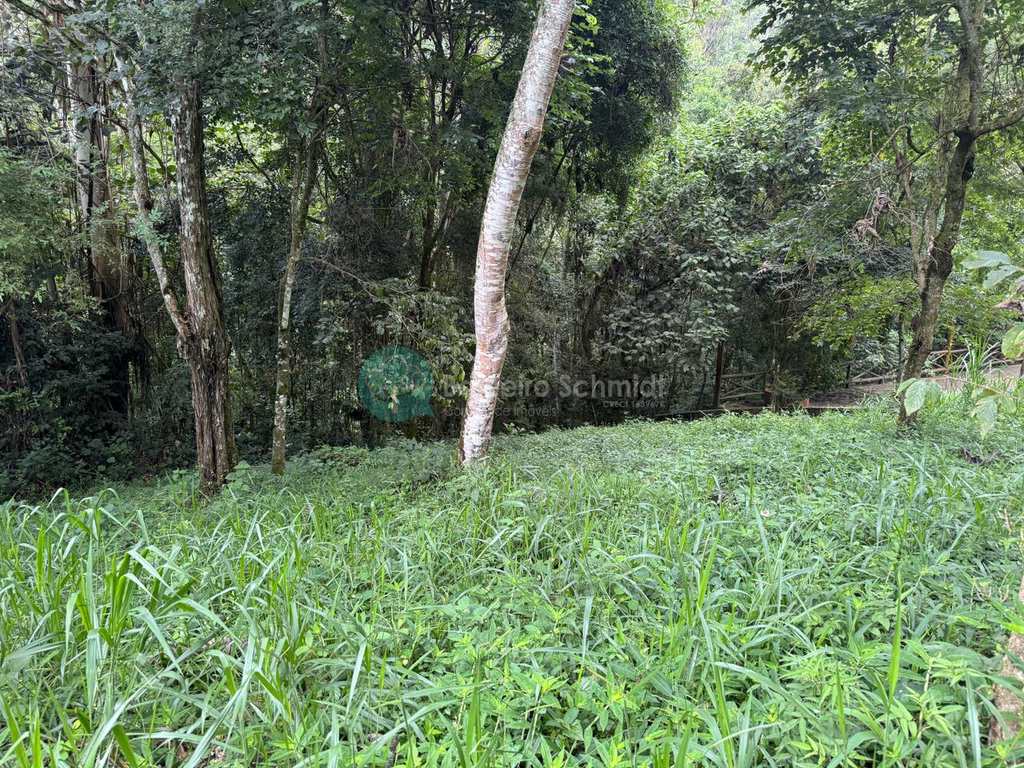 Terreno de Condomínio em Santo Antônio do Pinhal, no bairro Condomínio Parque da Mantiqueira