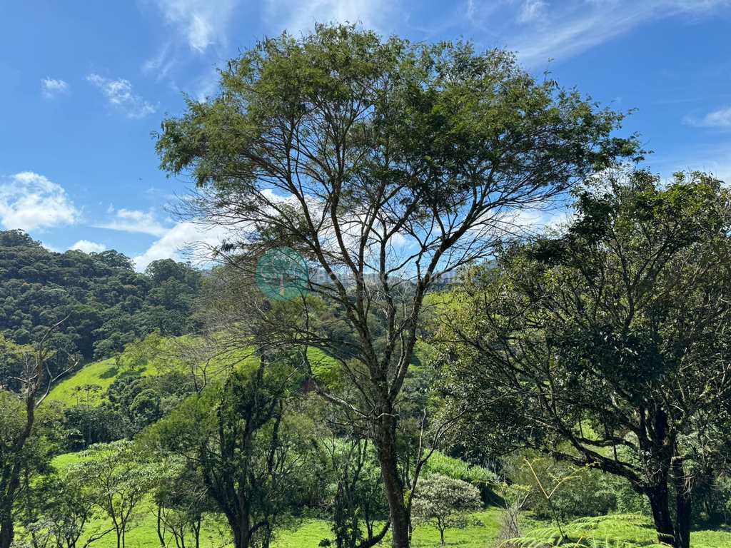 Terreno Rural em Santo Antônio do Pinhal, no bairro 4 Km do Centro
