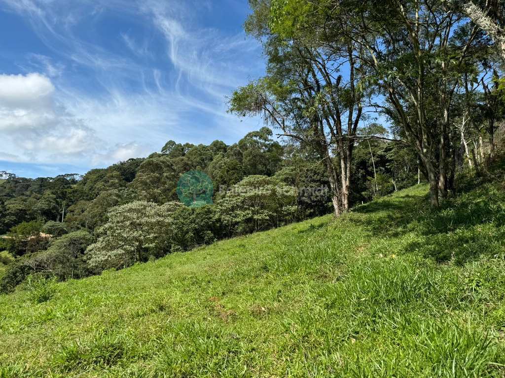 Terreno Rural em Santo Antônio do Pinhal, no bairro 4 Km do Centro