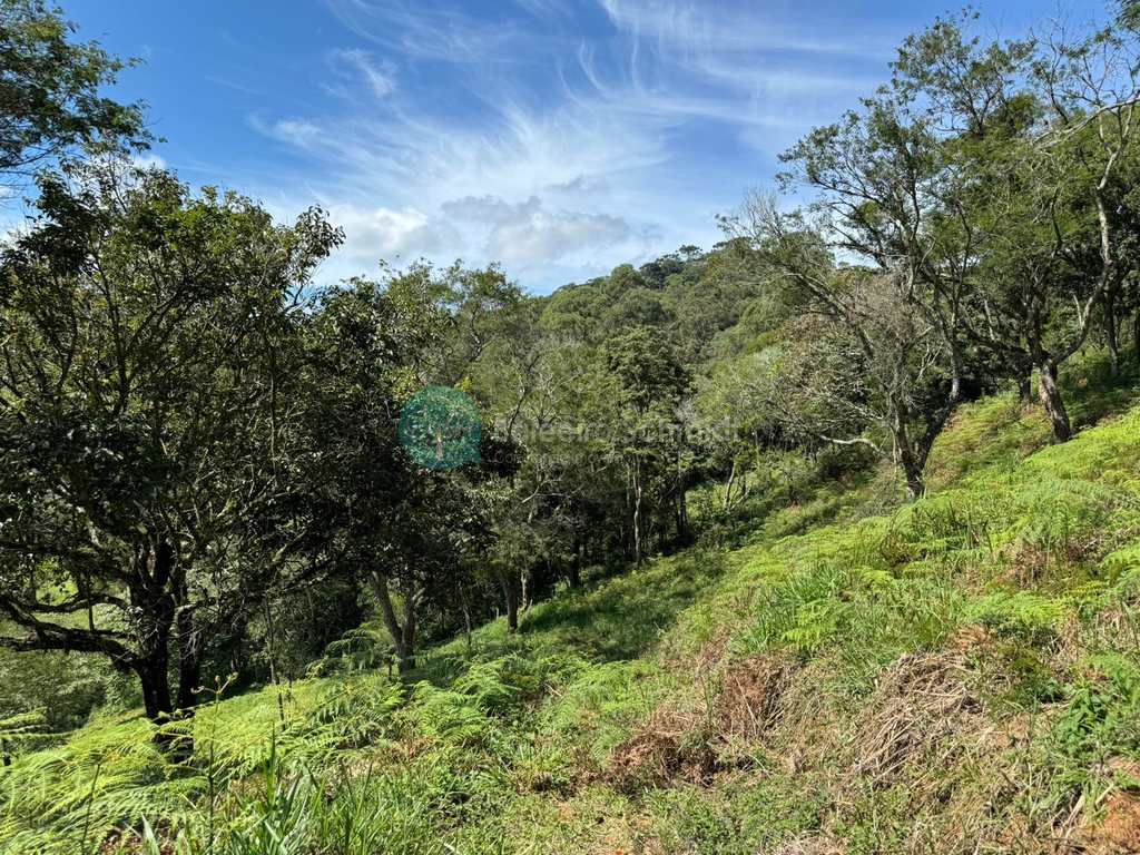 Terreno Rural em Santo Antônio do Pinhal, no bairro 4 Km do Centro