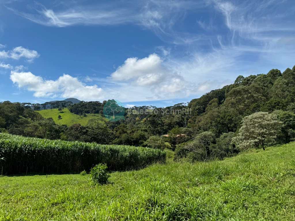 Terreno Rural em Santo Antônio do Pinhal, no bairro 4 Km do Centro