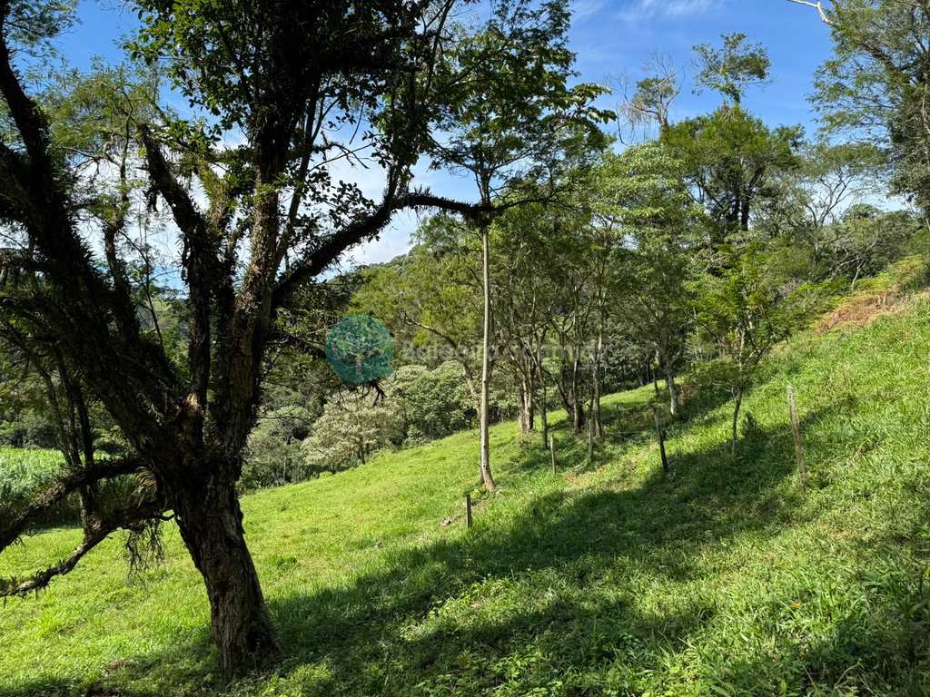 Terreno Rural em Santo Antônio do Pinhal, no bairro 4 Km do Centro
