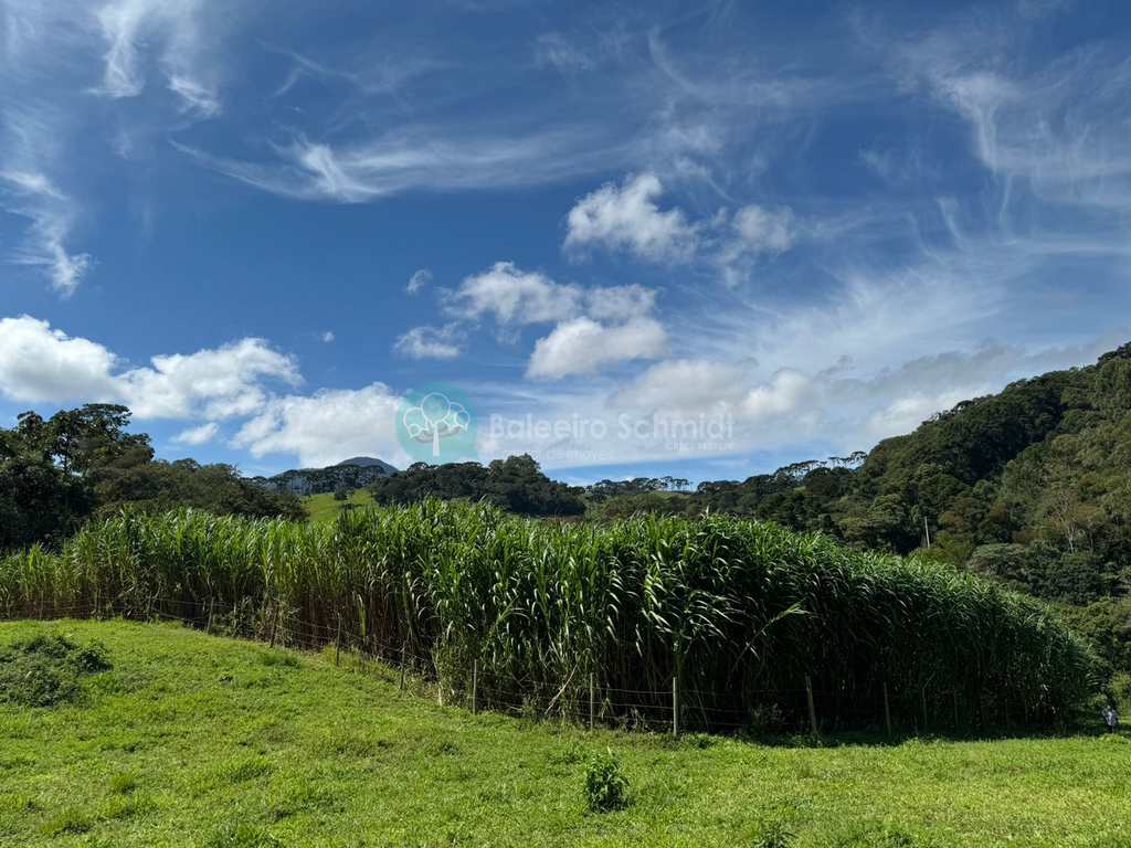 Terreno Rural em Santo Antônio do Pinhal, no bairro 4 Km do Centro