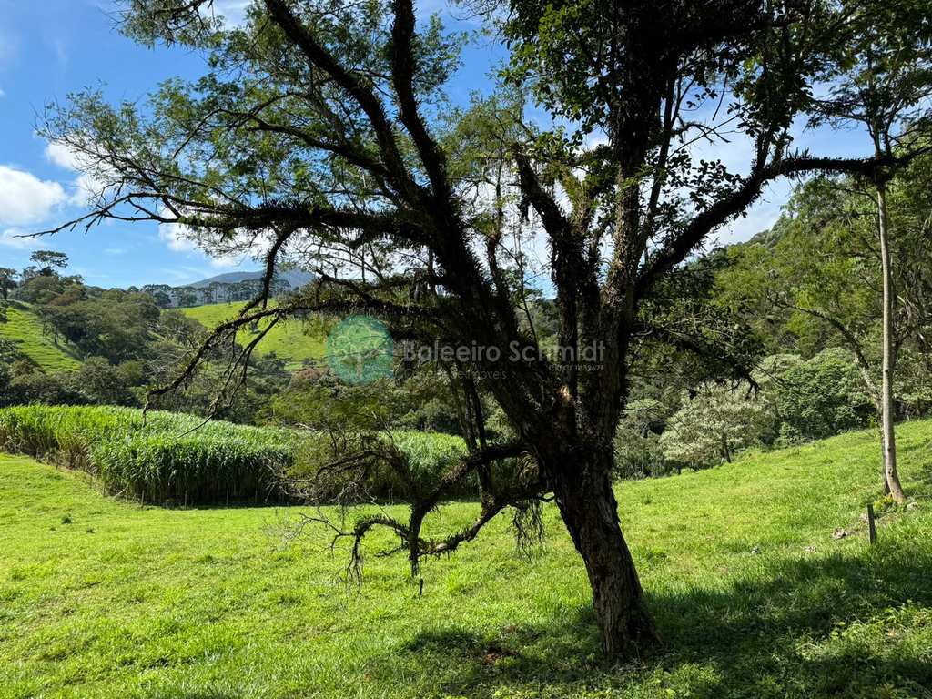 Terreno Rural em Santo Antônio do Pinhal, no bairro 4 Km do Centro