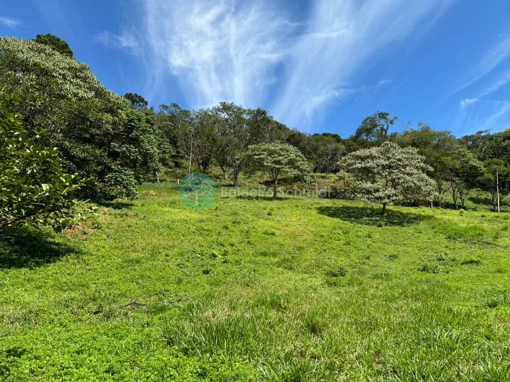 Terreno Rural em Santo Antônio do Pinhal, no bairro 4 Km do Centro