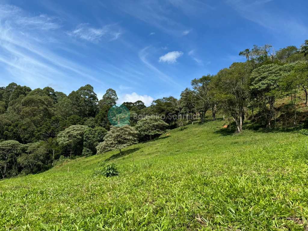 Terreno Rural em Santo Antônio do Pinhal, no bairro 4 Km do Centro