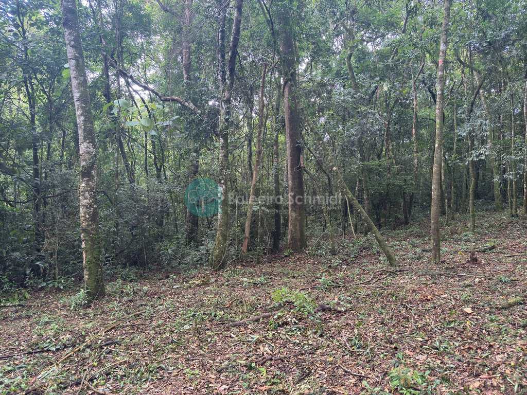Terreno Rural em Santo Antônio do Pinhal, no bairro 20 Km