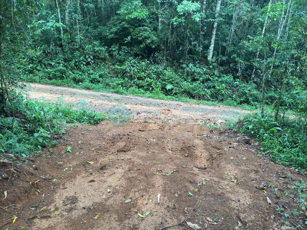 Terreno Rural em Santo Antônio do Pinhal, no bairro 20 Km