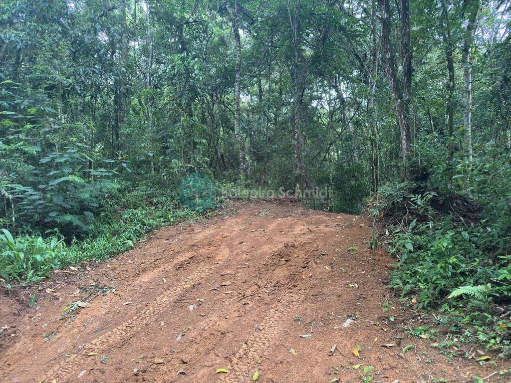 Terreno Rural em Santo Antônio do Pinhal, no bairro 20 Km