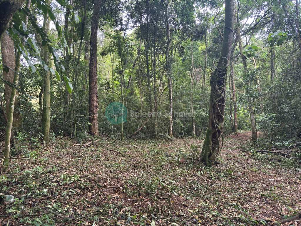 Terreno Rural em Santo Antônio do Pinhal, no bairro 20 Km