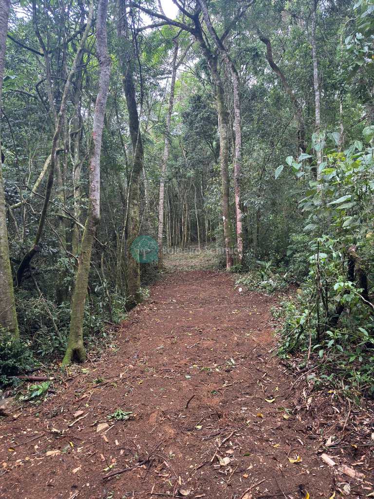 Terreno Rural em Santo Antônio do Pinhal, no bairro 20 Km