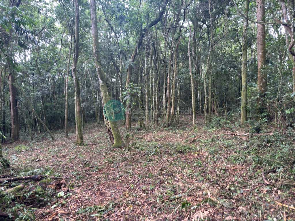 Terreno Rural em Santo Antônio do Pinhal, no bairro 20 Km