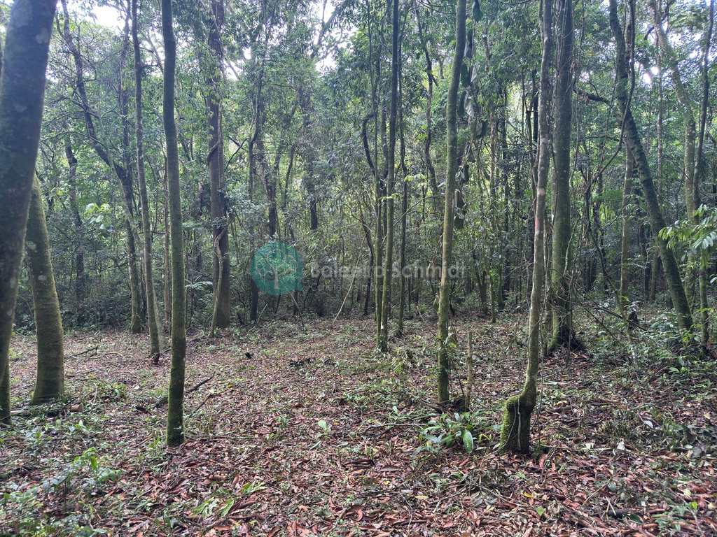 Terreno Rural em Santo Antônio do Pinhal, no bairro 20 Km