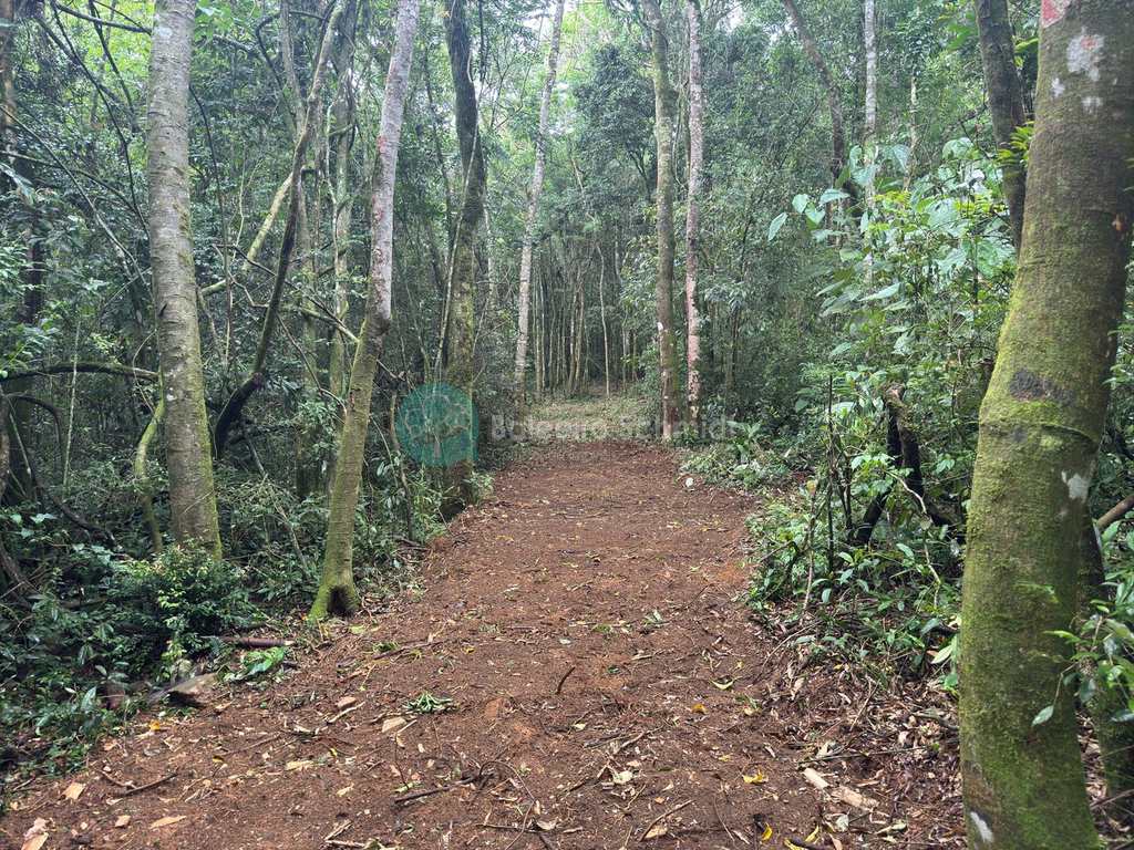 Terreno Rural em Santo Antônio do Pinhal, no bairro 20 Km