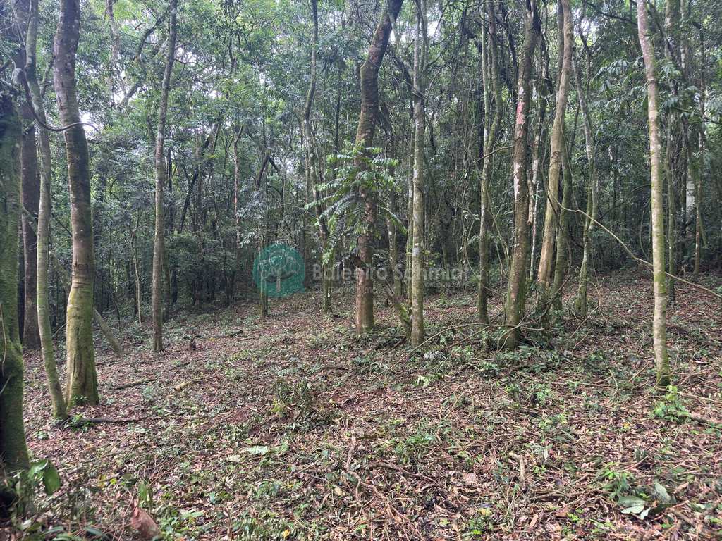 Terreno Rural em Santo Antônio do Pinhal, no bairro 20 Km