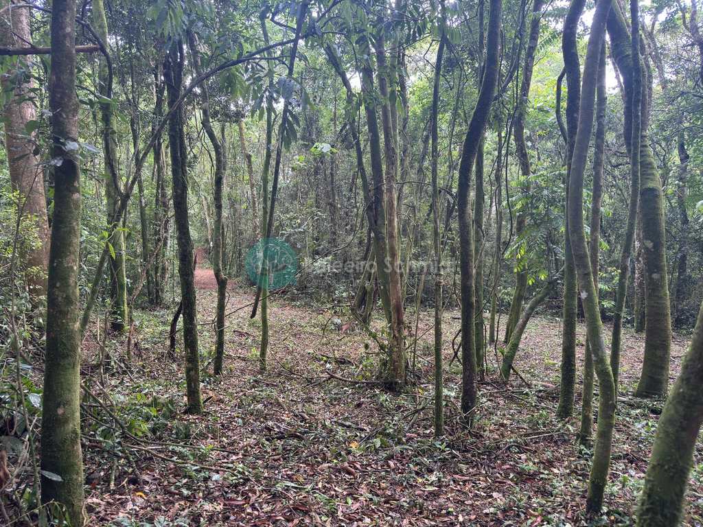 Terreno Rural em Santo Antônio do Pinhal, no bairro 20 Km