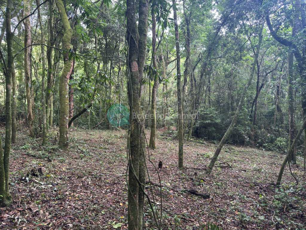 Terreno Rural em Santo Antônio do Pinhal, no bairro 20 Km