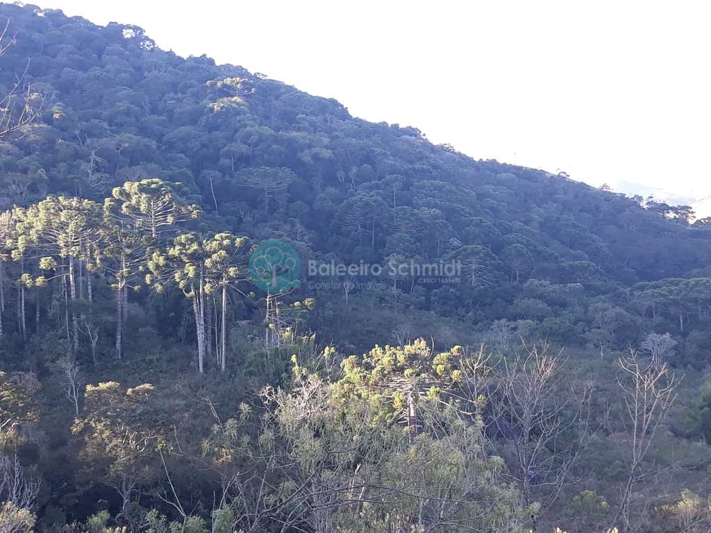 Sítio em Santo Antônio do Pinhal, no bairro Zona Rural