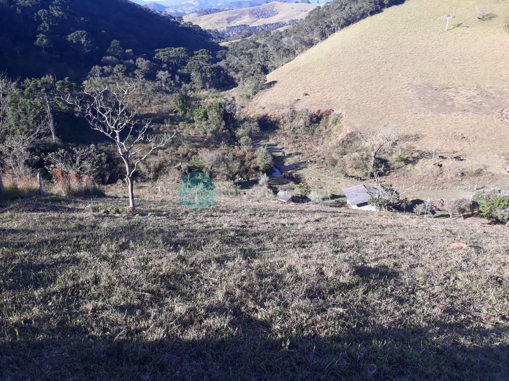 Sítio em Santo Antônio do Pinhal, no bairro Zona Rural