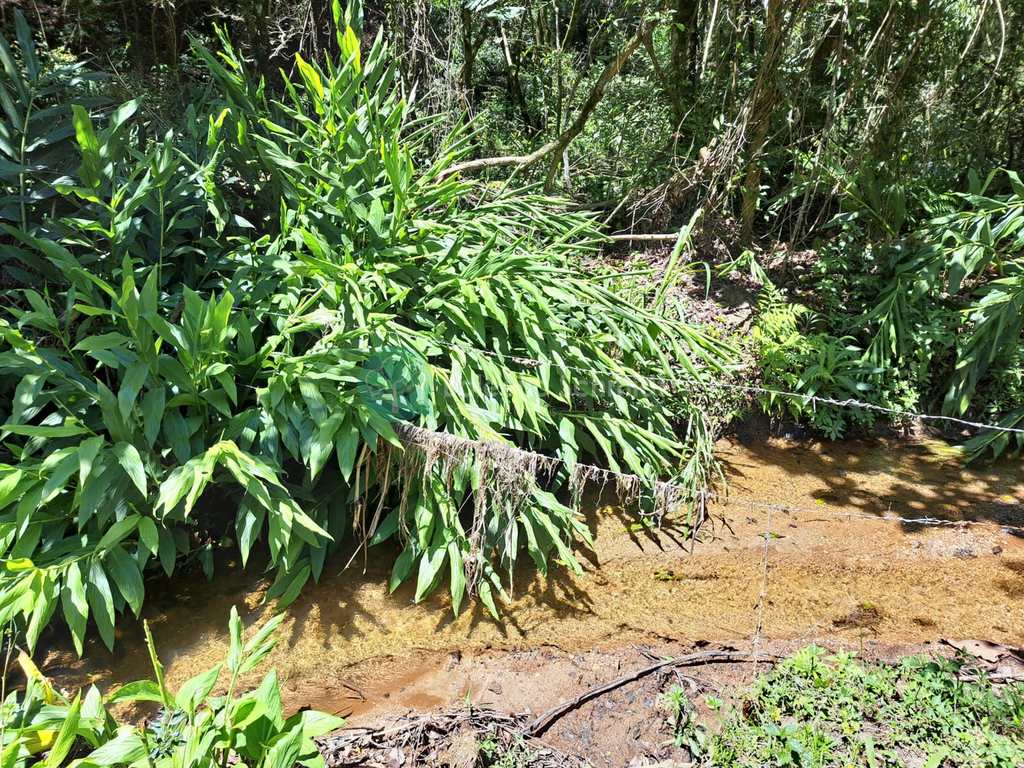Terreno Rural em Santo Antônio do Pinhal, no bairro Zona Rural